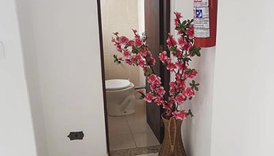 Casa de Repouso para Idosos na Praça da Árvore da Clínica Cherubins Casa de Repouso para Idosos na Praça da Árvore da Clínica Cherubins